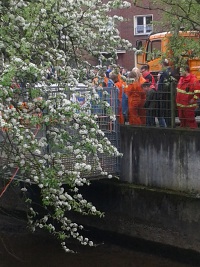 Entenrennen vor dem Start