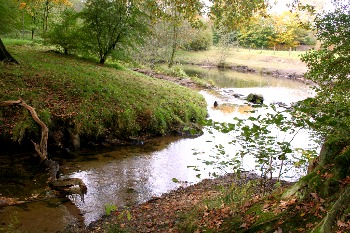 Rotbach-Kurve