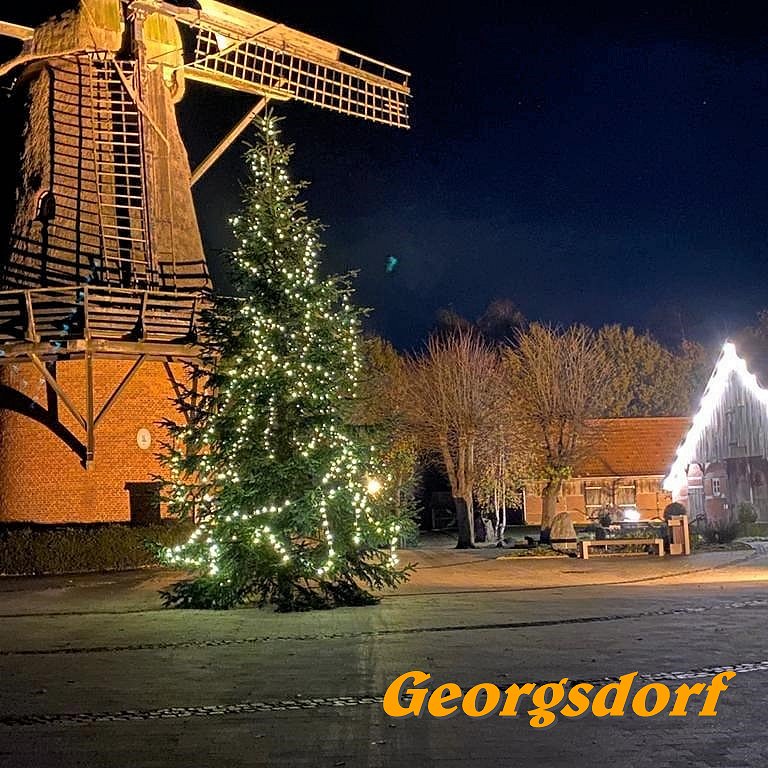 Tannenbaum vor Windmhle in Georgsdorf 2020