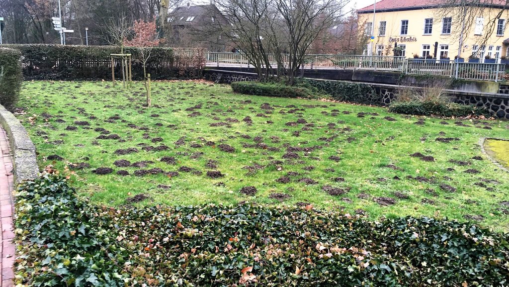 Eine Wiese voller Maulwurd-Lcher vor dem Museum