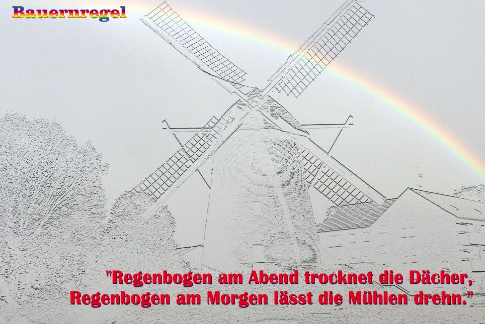 Spruch 6