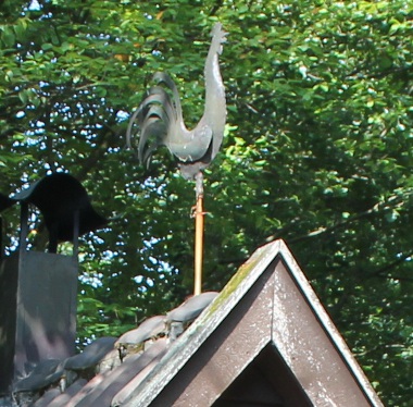 der Wetterhahn auf dem Backhaus