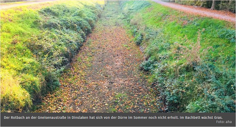 das Bett des Rotbaches - ausgetrocknet im Oktober 2018